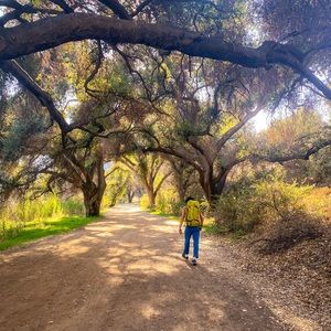 Meet your Posher, Dylan